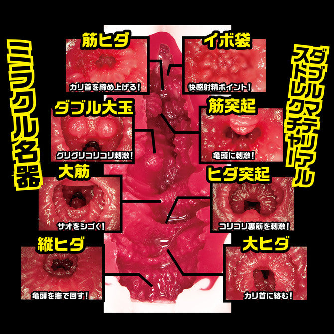 NPG - Meiki no Shoumei No.012 Eimi Fukada