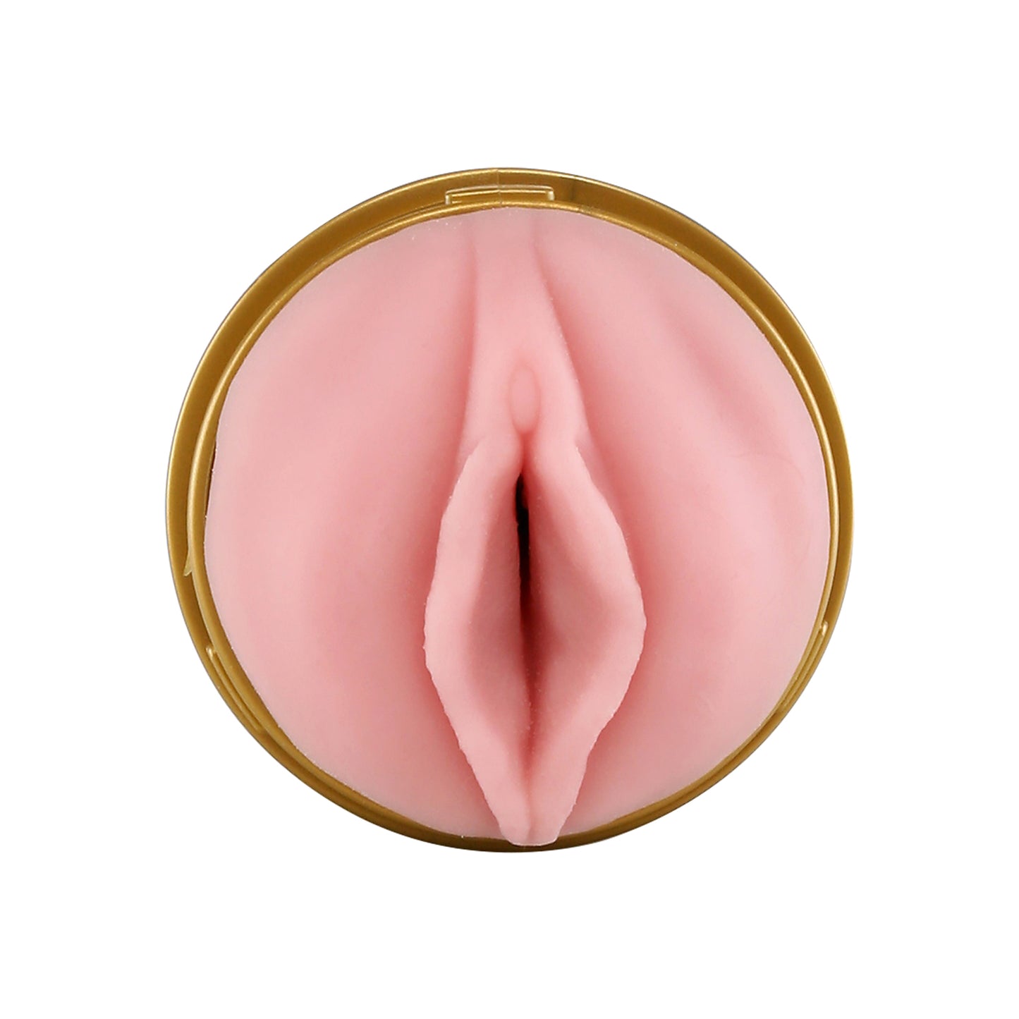 Fleshlight - Pink Lady Stamina Training Unit Vagina Male Masturbator